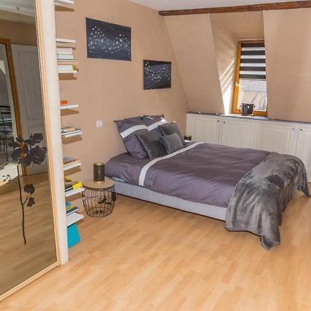 Charmant Appartement Alsacien Ribeauvillé Εξωτερικό φωτογραφία