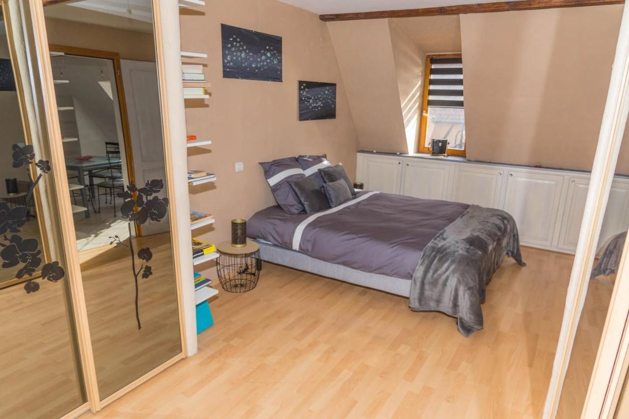 Charmant Appartement Alsacien Ribeauvillé Εξωτερικό φωτογραφία
