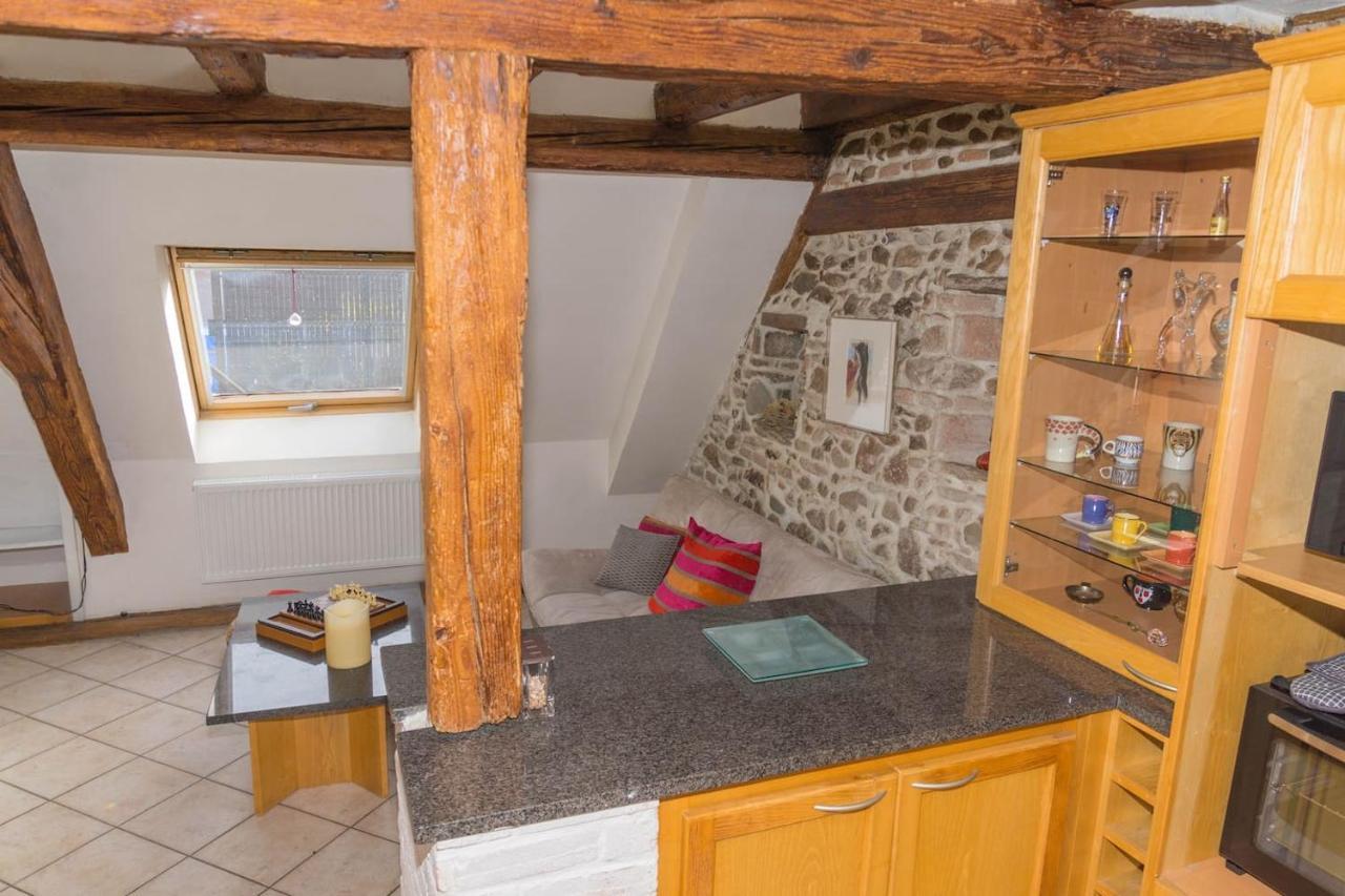 Charmant Appartement Alsacien Ribeauvillé Εξωτερικό φωτογραφία