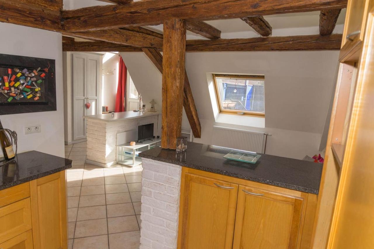 Charmant Appartement Alsacien Ribeauvillé Εξωτερικό φωτογραφία