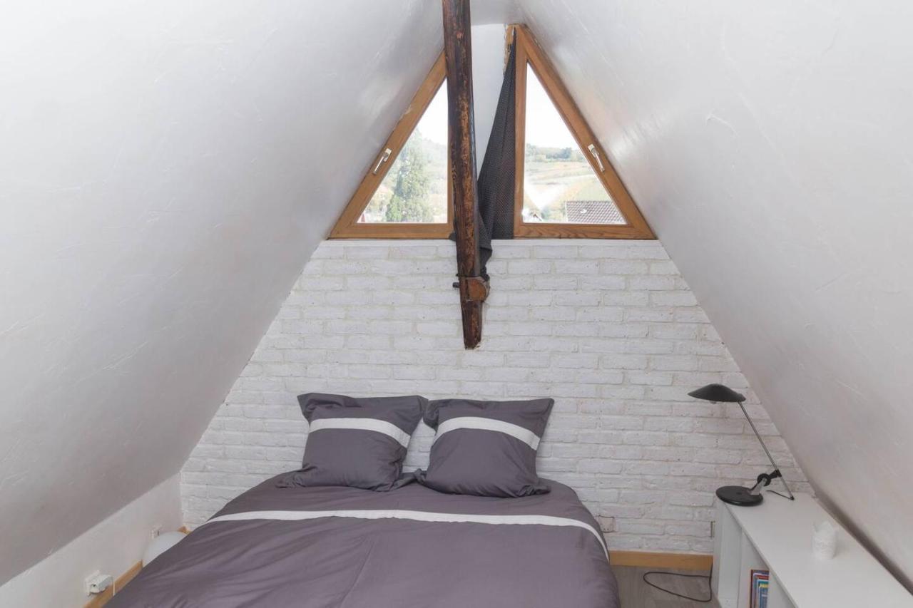 Charmant Appartement Alsacien Ribeauvillé Εξωτερικό φωτογραφία